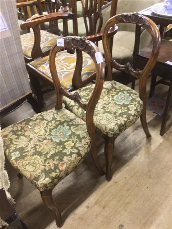 Pair Victorian walnut balloon back chairs(-)